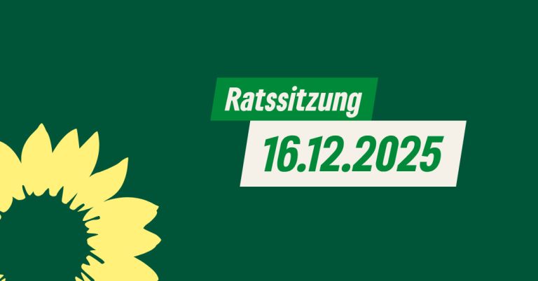 Erste reguläre Ratssitzung der neuen Wahlperiode: Große Herausforderungen zeichnen sich ab